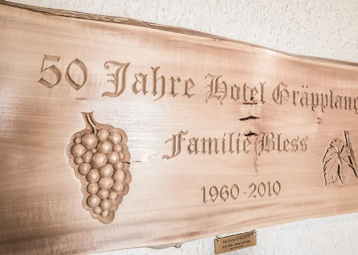 فندق Graepplang 2*